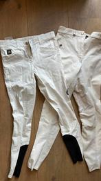 Paardrijdbroeken, Dieren en Toebehoren, Paardrijkleding, Gebruikt, Dressuur, Ophalen of Verzenden, Dames