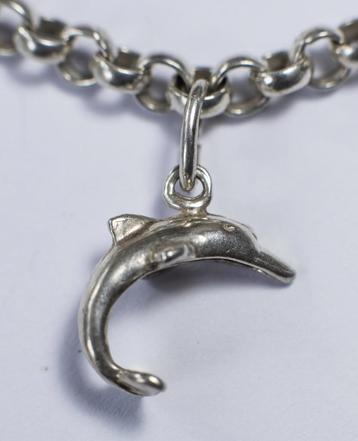 Zilveren hanger/bedel dolfijntje beschikbaar voor biedingen