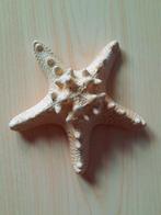 6 GIPSEN ZEESTERREN WANDDECORATIE  Ø13 CM H: 5,0 CM, Ophalen of Verzenden, Nieuw