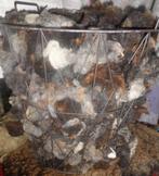 Schapenwol Gewassen Vulwol Poppen ViltWol  Krul losse Lokken, Hobby en Vrije tijd, Ophalen of Verzenden, Nieuw, Overige typen