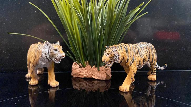 Schleich Azie: Bengaalse Tijgers, Verzamelen, Dierenverzamelingen, Zo goed als nieuw, Beeldje of Figuurtje, Paard, Ophalen of Verzenden