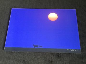 Design natuurfoto op aluminium beschikbaar voor biedingen