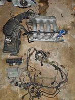 inlaat spinnekop kabelboom ecu vw 2.0 16v 9A, Ophalen of Verzenden, Vw, Info@wealer.nl, Zuiderinslag 2 3833 BP Leusden