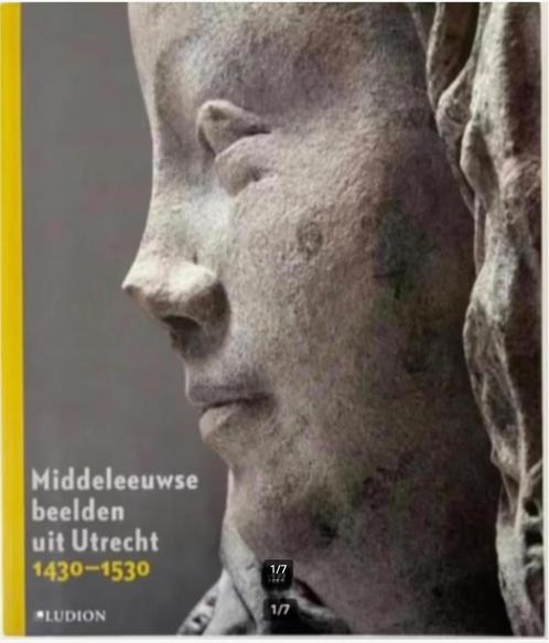 Middeleeuwse beelden uit Utrecht 1430-1530, Boeken, Kunst en Cultuur | Beeldend, Zo goed als nieuw, Beeldhouwkunst, Ophalen of Verzenden