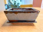 Blauwe bonsai schaal, Tuin en Terras, Bloempotten, Ophalen of Verzenden, Zo goed als nieuw, Overige vormen, Aardewerk