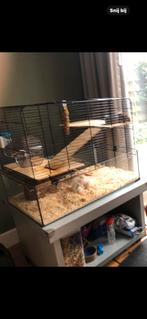 Hamsterkooi, Kooi, Minder dan 75 cm, Zo goed als nieuw, Hamster