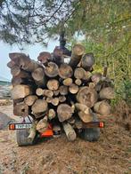 Rondhout/stamhout/brandhout, Tuin en Terras, Haardhout, Ophalen of Verzenden