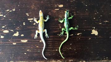 Speel dieren beschikbaar voor biedingen