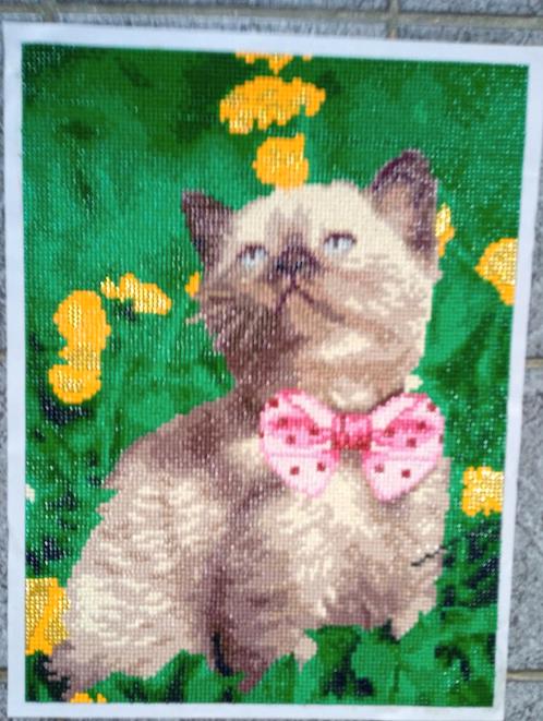 Kat met een strik om - 30 x 40 - Diamond Painting Schilderij, Huis en Inrichting, Woonaccessoires | Schilderijen, Tekeningen en Foto's
