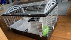 Complete caviahok, konijnenhok, Dieren en Toebehoren, Ophalen, Hok, Minder dan 60 cm