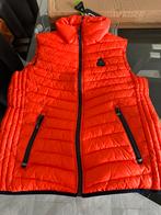 Gaastra bodywarmer maat L nieuw met labels, Gaastra, Maat 42/44 (L), Nieuw, Oranje