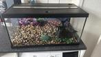 Aquarium, Dieren en Toebehoren, Ophalen of Verzenden, Zo goed als nieuw, Leeg aquarium