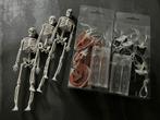 Halloween setje 2x led verlichting en skeletjes, Hobby en Vrije tijd, Feestartikelen, Ophalen, Zo goed als nieuw, Versiering, Halloween of Griezel