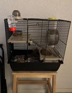 Hamsterkooi, Kooi, Gebruikt, Ophalen, Minder dan 60 cm
