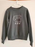 G-Star RAW Trui Grijs Groen Maat S, Kleding | Dames, Ophalen of Verzenden, Maat 36 (S), Grijs, Gedragen