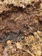 Paardenmest /compost, Compost, Ophalen