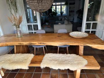 Boomstam eettafel beschikbaar voor biedingen