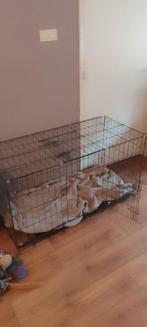 Hondenbench groot, Ophalen, Gebruikt, 110 cm of meer, 65 tot 100 cm