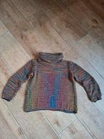 Trui veelkleurig, Ophalen of Verzenden, Zo goed als nieuw, Maat 38/40 (M)