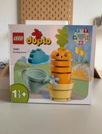 Duplo Lego, Ophalen of Verzenden, Zo goed als nieuw, Complete set, Duplo