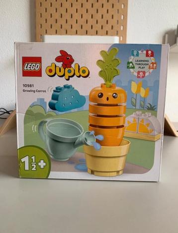 Duplo Lego  beschikbaar voor biedingen