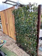 Hedera kant en klaar met bamboe deuren, 1 tot 2 meter, Minder dan 3 meter, Nieuw, Ophalen of Verzenden