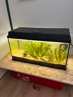 Juwel 110 aquarium, Ophalen, Zo goed als nieuw, Leeg aquarium