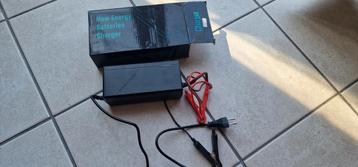 LiFePo4 intelligent charger 14,6 V / 10A beschikbaar voor biedingen