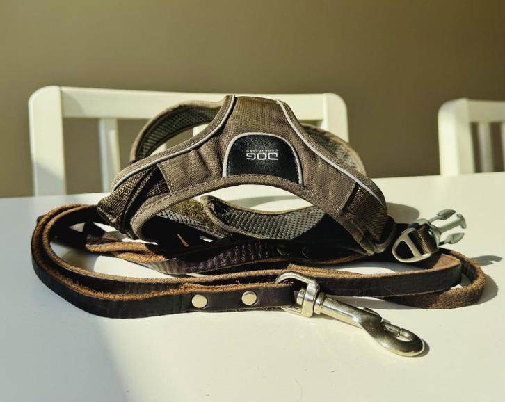 Starterskit voor je hondje: Dog Copenhagen tuig + leren riem, Dieren en Toebehoren, Honden-accessoires, Zo goed als nieuw, Ophalen of Verzenden