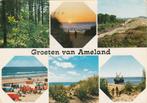 AMELAND Bos Strand Avond Duinlandschappen Groeten Vette Teks, Verzamelen, Verzenden, 1960 tot 1980, Gelopen, Waddeneilanden