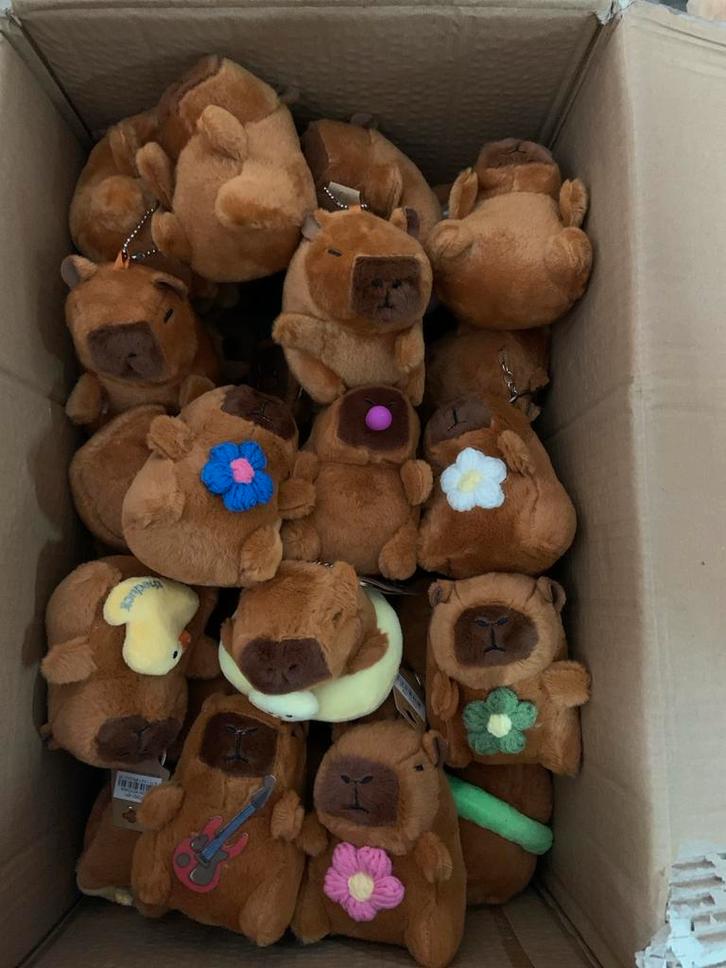 Pluche Capibara Sleutelhanger - Nieuw!, Diversen, Rommelmarktspullen, Nieuw, Ophalen of Verzenden