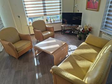 Rotan zitje met leren bekleding  beschikbaar voor biedingen