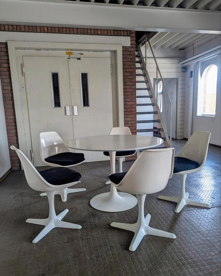 5 vintage Arkana Tulipe stoelen- Maurice Burke, Huis en Inrichting, Stoelen, Gebruikt, Vijf, Zes of meer stoelen, Wit, Ophalen