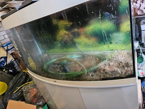 Juwel vision260, Dieren en Toebehoren, Vissen | Aquaria en Toebehoren, Gebruikt, Leeg aquarium, Ophalen