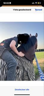 Gezocht bijrijder, Ophalen