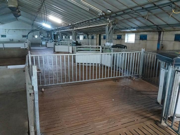 6 zeer mooie Fancom voerstations, Dieren en Toebehoren, Schapen, Geiten en Varkens, Varken, Meerdere dieren