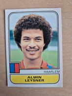 Panini Voetbal 82 Alwin Leysner Haarlem, Ophalen of Verzenden, Zo goed als nieuw, Ajax, Poster, Plaatje of Sticker