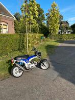 Honda Dax st50 1969, Fietsen en Brommers, Brommers | Honda, Ophalen, Overige modellen, Maximaal 45 km/u, Zo goed als nieuw