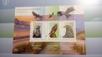 2024 Velletje roofvogels kustgebied nederland, Postzegels en Munten, Postzegels | Nederland, Verzenden, Na 1940, Postfris