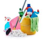 Hulp in huishouding/ schoonmaakster gezocht