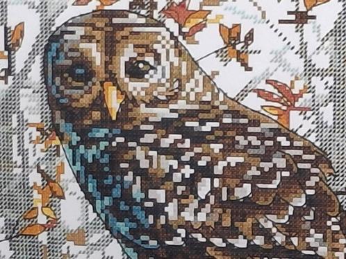 borduurpakket, Hobby en Vrije tijd, Borduren en Borduurmachines, Nieuw, Borduurpakket, Ophalen of Verzenden