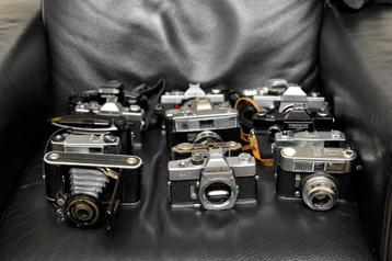 Doos met analoge body's beschikbaar voor biedingen