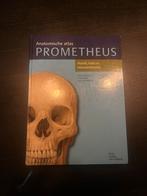 Anatomische atlas Prometheus  - Hoofd, hals en neuroanatomie, Boeken, Ophalen of Verzenden, Gelezen, WO, Udo Schumacher; Michael Schünke; Erik Schulte