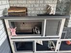 Konijn/cavia hok, Ophalen, Cavia, 90 cm of meer, Hok