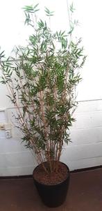 Grote kunstplant bamboe  - nu 25€, Ophalen, Gebruikt, Nvt, Nvt