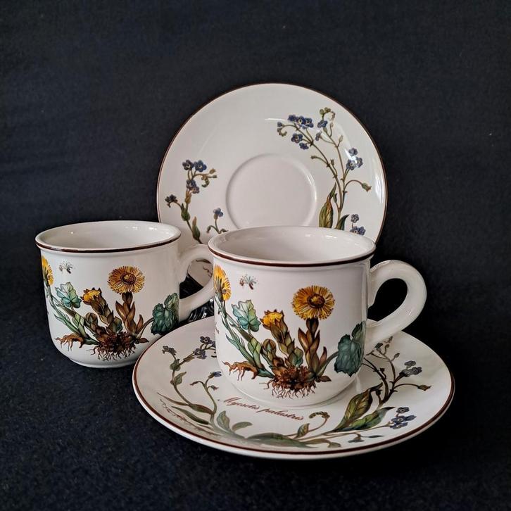 2 Kop en schotels Villeroy en Boch Botanica, Huis en Inrichting, Keuken | Servies, Zo goed als nieuw, Kop(pen) en/of Schotel(s)