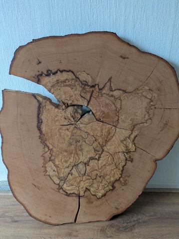 Essenhout schijf - 80cm - 5cm dik beschikbaar voor biedingen