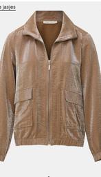 Dreamstar jasje xxl bruin, Kleding | Dames, Dreamstar, Bruin, Maat 46/48 (XL) of groter, Ophalen of Verzenden