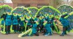 Carnaval - Pauwer vrouwen, Kleding | Dames, Carnavalskleding en Feestkleding, Ophalen of Verzenden, Nieuw, Maat 38/40 (M), Carnaval