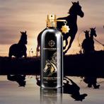 MONTALE ARABIANS TONKA 100 ML, Ophalen of Verzenden, Nieuw